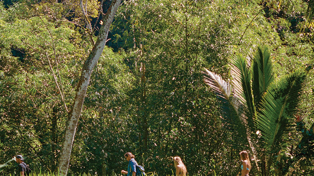 HOME SLICE// Shane Dorian