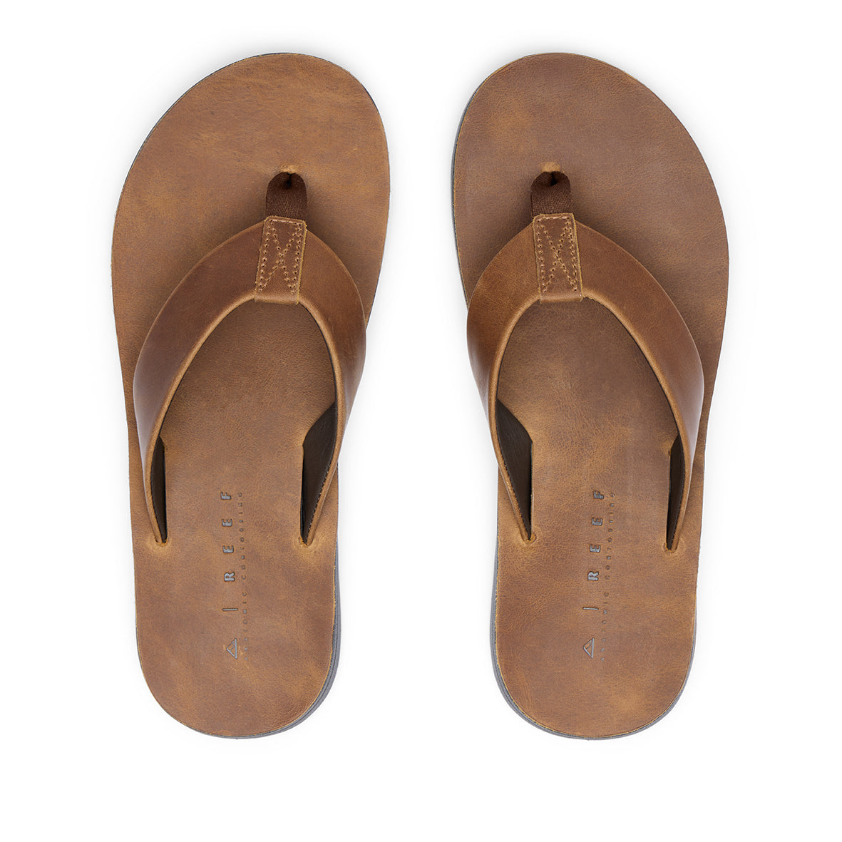 Mens Ojai Classic - Dark Brown | MENS SLIDES | REEF
