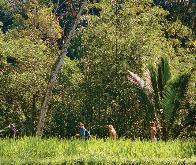 HOME SLICE// Shane Dorian