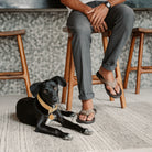 Mens Cushion Phantom - Brown/Tan | MENS SANDALS | REEF