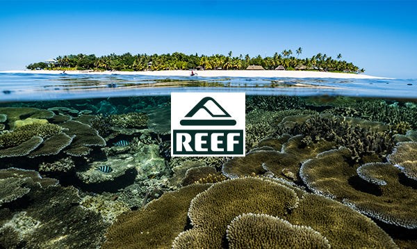 Reef-Gift Card | Gift Card | REEF